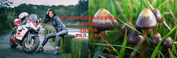прущие крисы Волоколамск