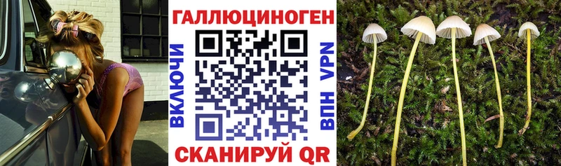 Псилоцибиновые грибы Psilocybe  Купить закладки  Сосновоборск 